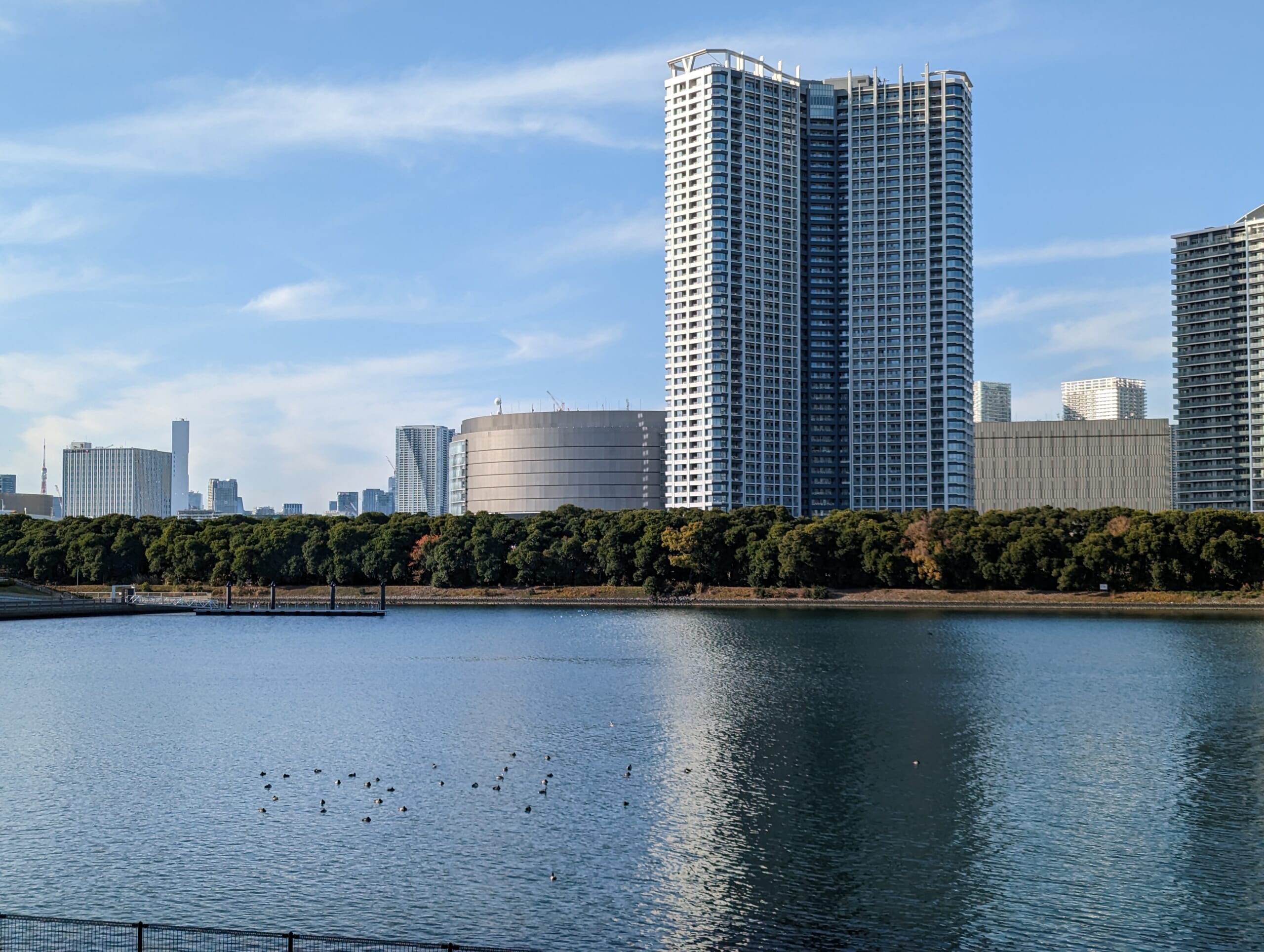 【成約価格下落&成約件数大幅減】2026年5月迄の湾岸エリア最新市況分析レポート
